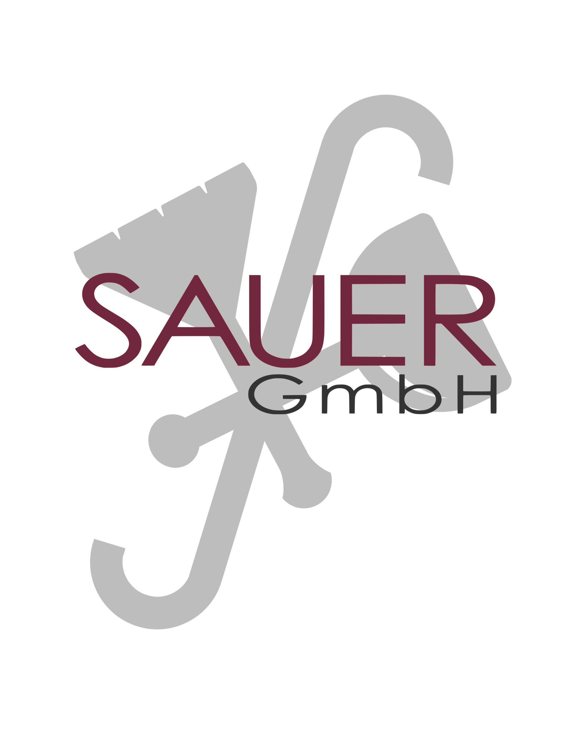 Logo Sauer GmbH